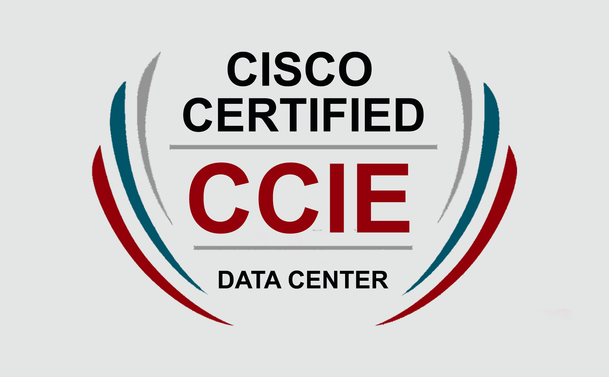 What is CCIE Data Center ? CCIE Data Center professional responsibilities ?