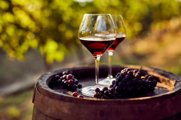 Wine Tasting Bangalore! Hop Into These 7 Best Places￼
